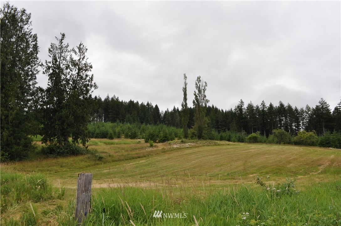 0 Little Hanaford Road Centralia, WA 98531 - Photo 1 of 16 Gallery Image 1