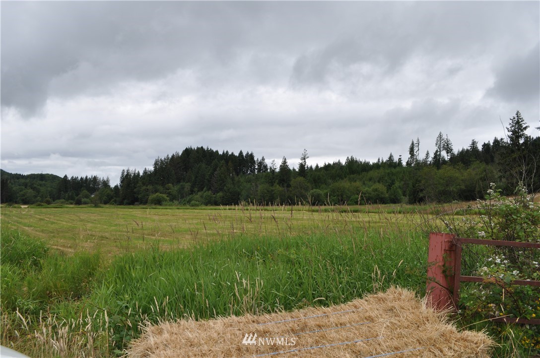 0 Little Hanaford Road Centralia, WA 98531 - Photo 2 of 16 Gallery Image 2