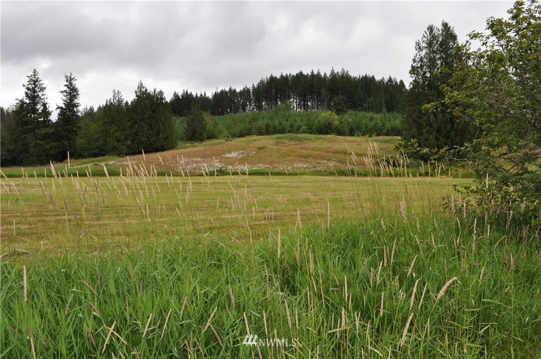 0 Little Hanaford Road Centralia, WA 98531 - Photo 11 of 16 Gallery Image 11