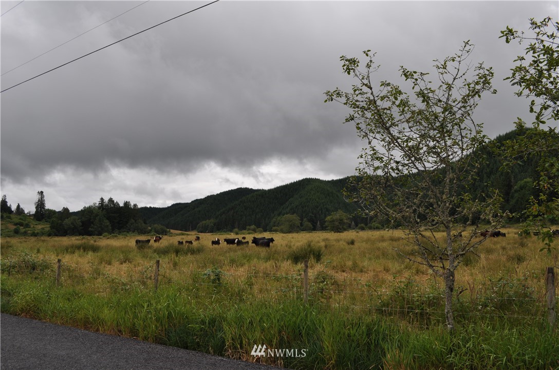 0 Little Hanaford Road Centralia, WA 98531 - Photo 12 of 16 Gallery Image 12