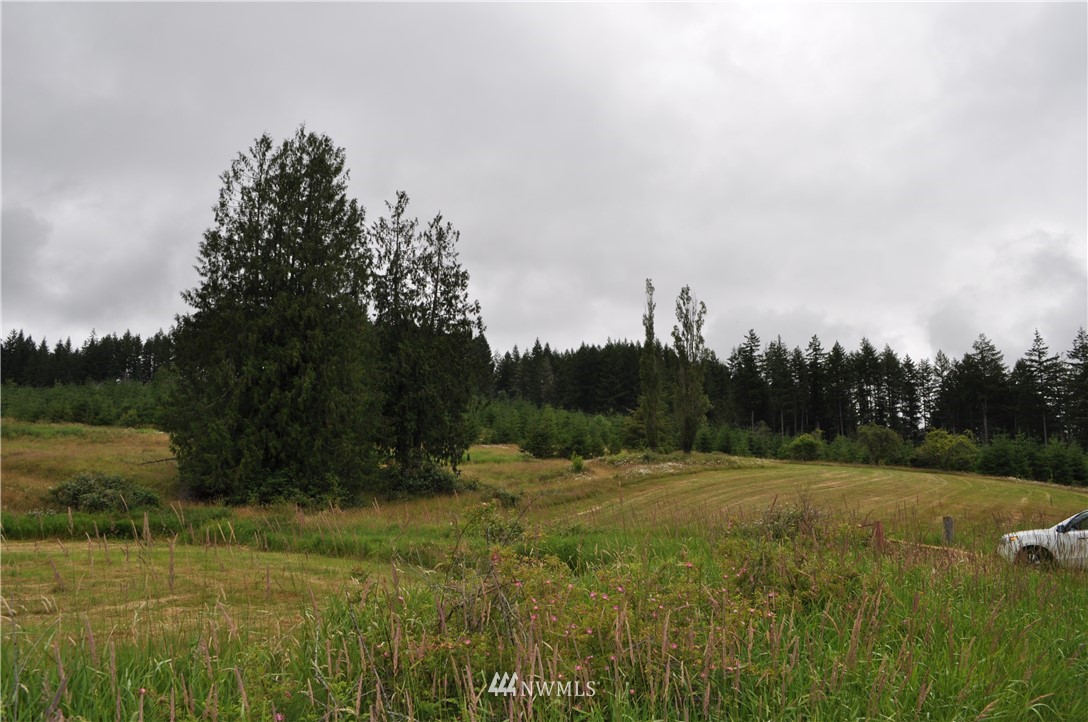 0 Little Hanaford Road Centralia, WA 98531 - Photo 13 of 16 Gallery Image 13