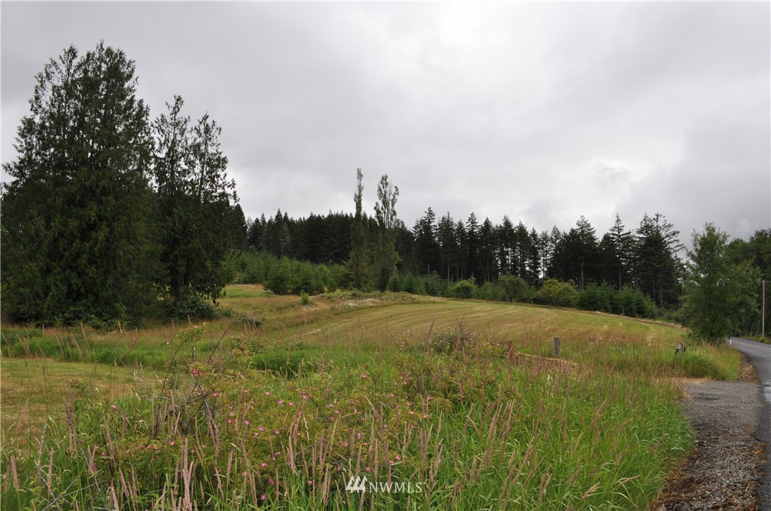 0 Little Hanaford Road Centralia, WA 98531 - Photo 14 of 16 Gallery Image 14