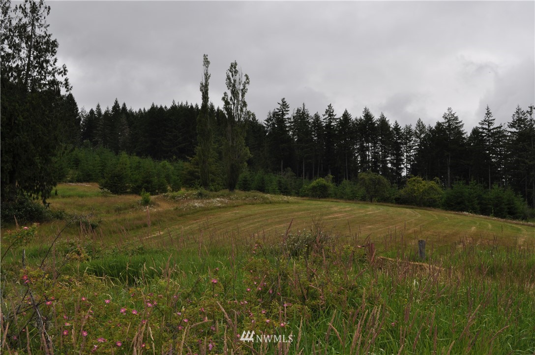 0 Little Hanaford Road Centralia, WA 98531 - Photo 16 of 16 Gallery Image 16