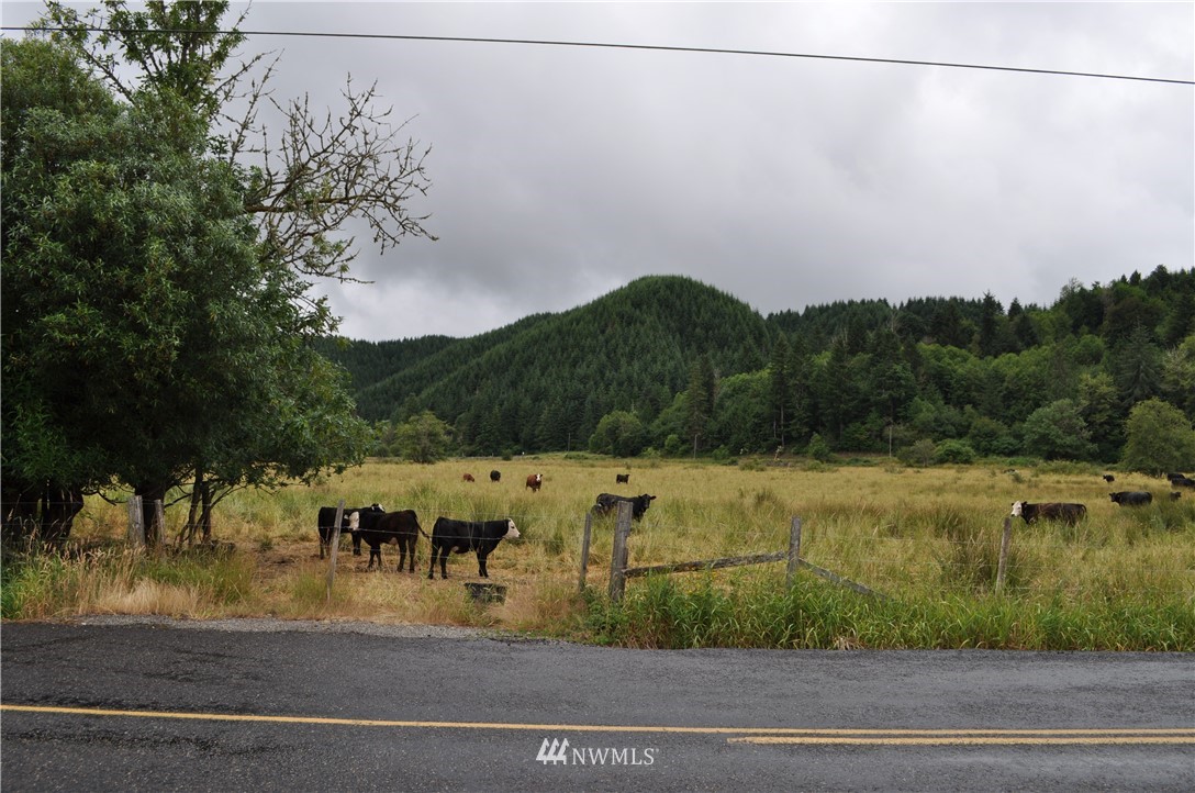 0 Little Hanaford Road Centralia, WA 98531 - Photo 3 of 16 Gallery Image 3
