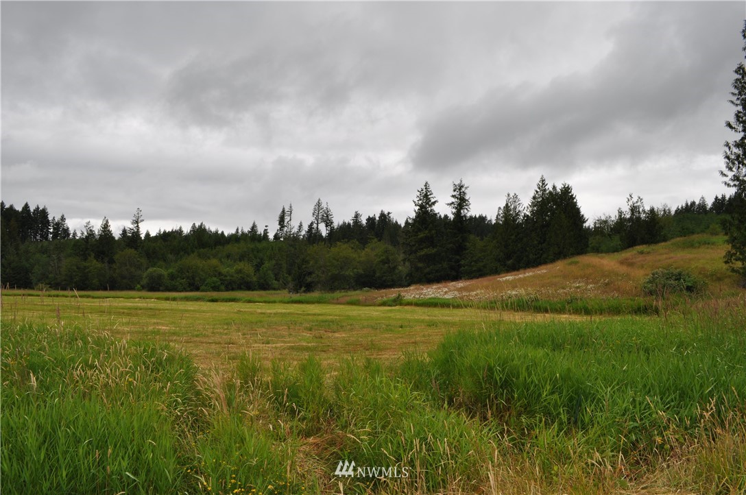 0 Little Hanaford Road Centralia, WA 98531 - Photo 4 of 16 Gallery Image 4