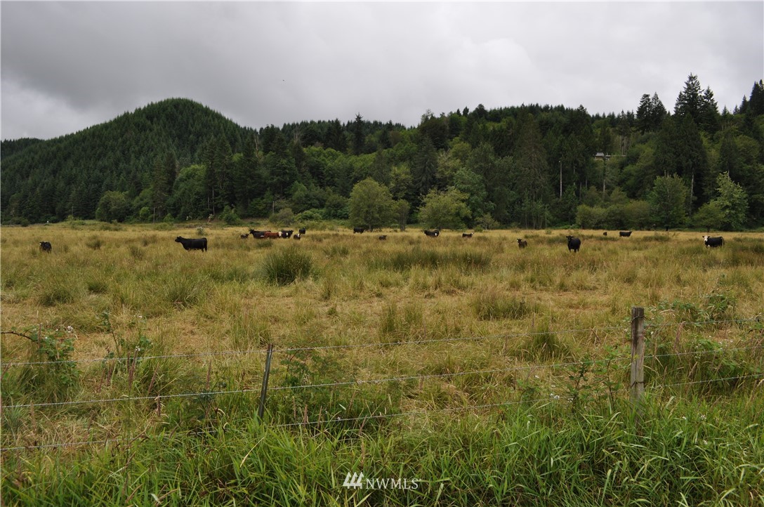 0 Little Hanaford Road Centralia, WA 98531 - Photo 7 of 16 Gallery Image 7