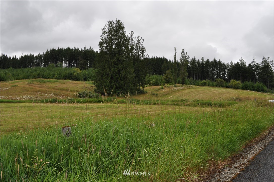0 Little Hanaford Road Centralia, WA 98531 - Photo 8 of 16 Gallery Image 8
