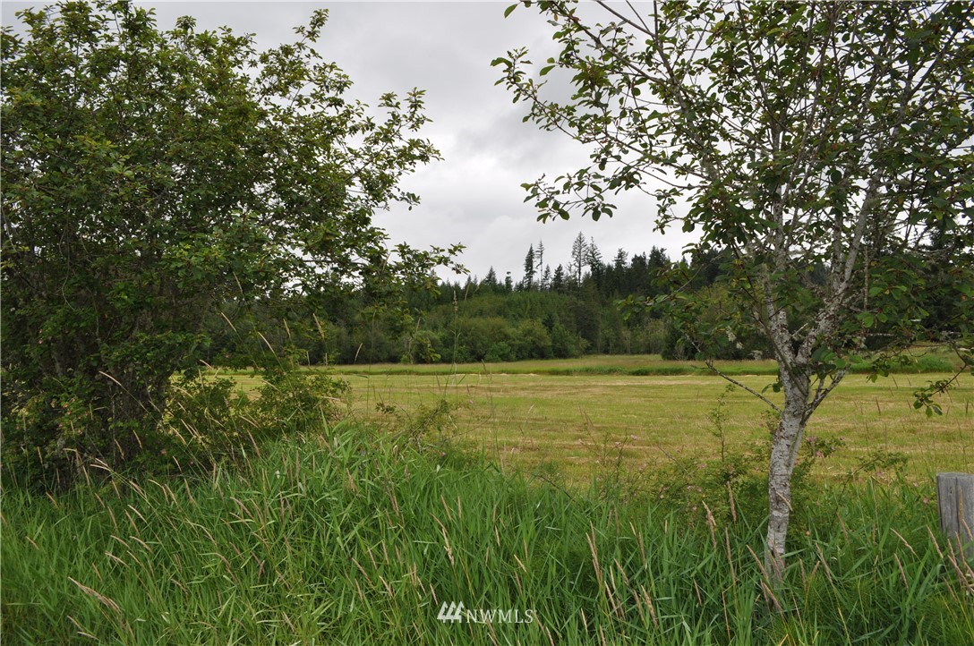 0 Little Hanaford Road Centralia, WA 98531 - Photo 9 of 16 Gallery Image 9