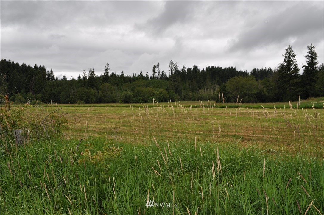 0 Little Hanaford Road Centralia, WA 98531 - Photo 10 of 16 Gallery Image 10