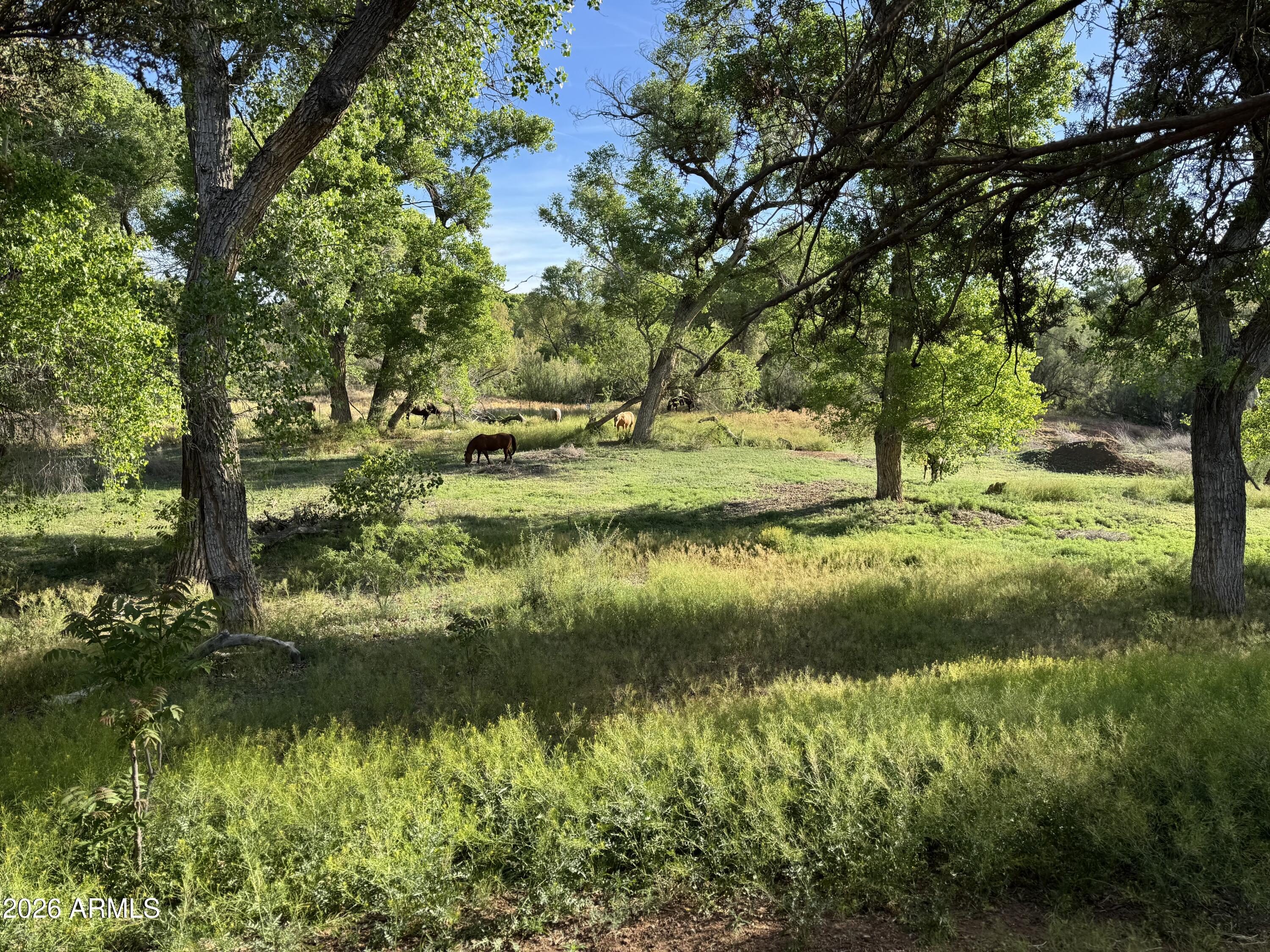 1226 West Peterson Road Camp Verde, AZ 86322 - Photo 44 of 46 River Frontage
