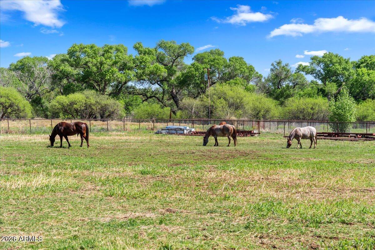 1226 West Peterson Road Camp Verde, AZ 86322 - Photo 45 of 46 Pasture
