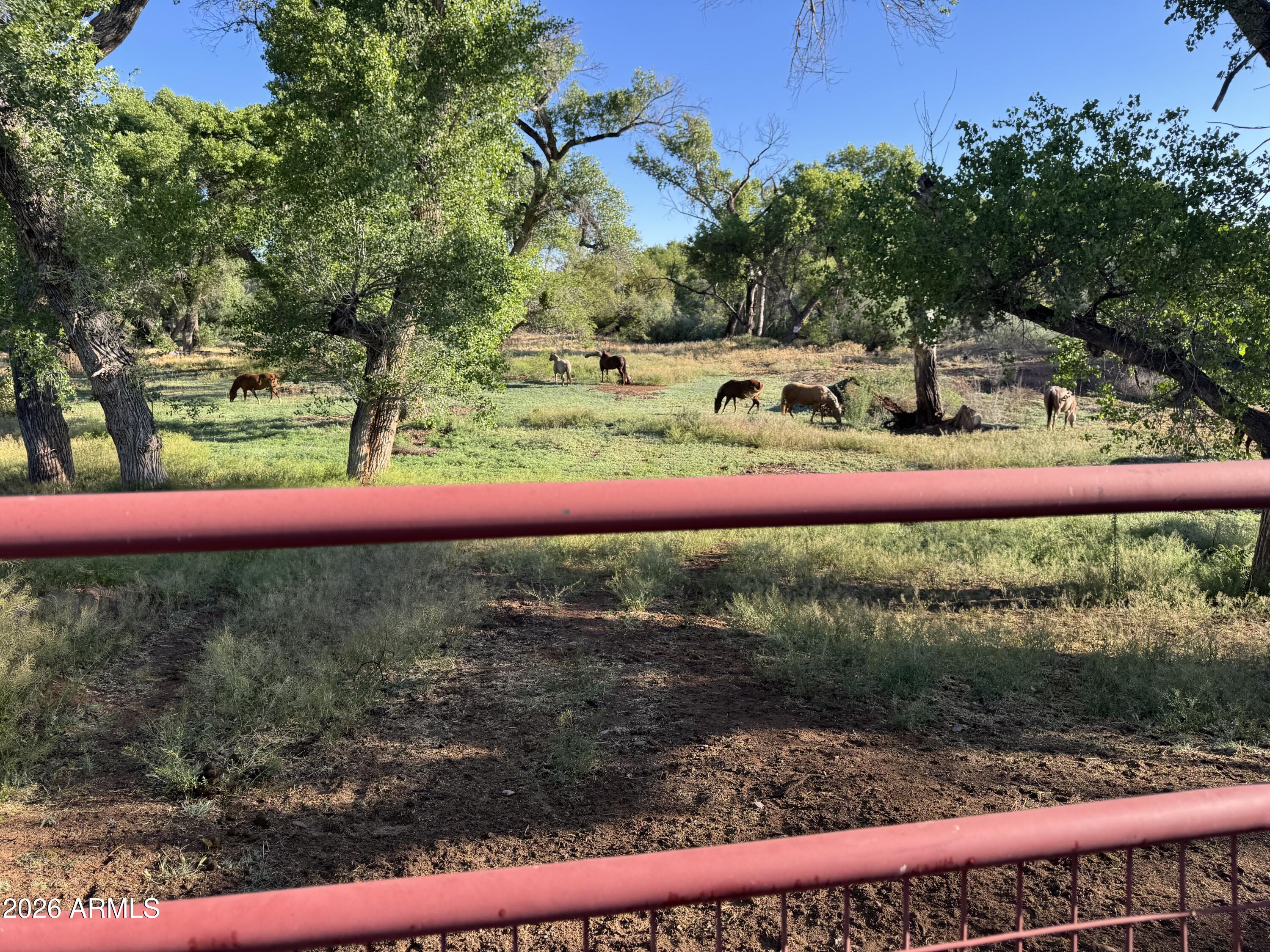 1226 West Peterson Road Camp Verde, AZ 86322 - Photo 46 of 46 Bring the Horses
