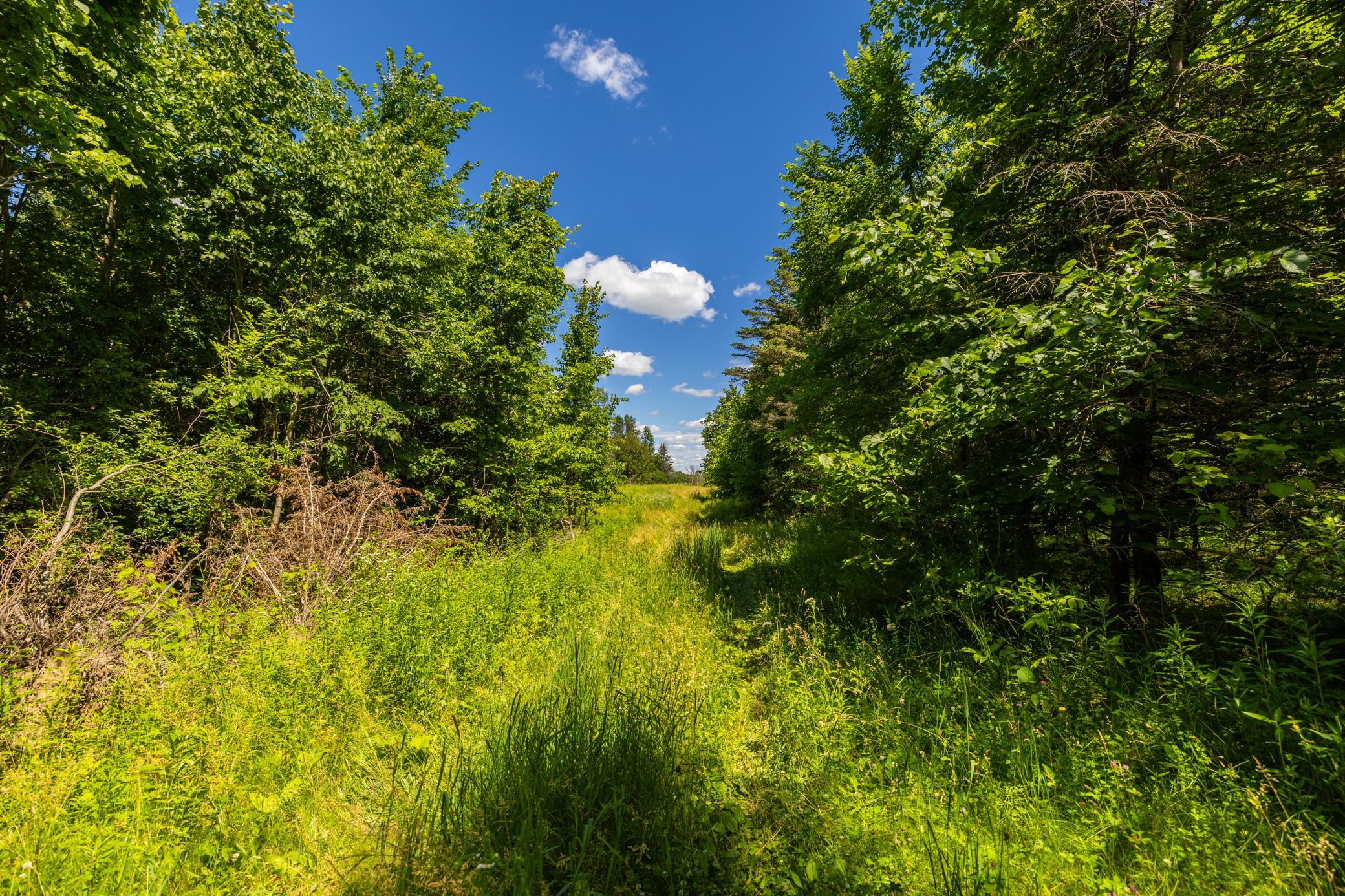 Tbd Base Line Road Northfield, MN 55057 - Photo 40 of 51
