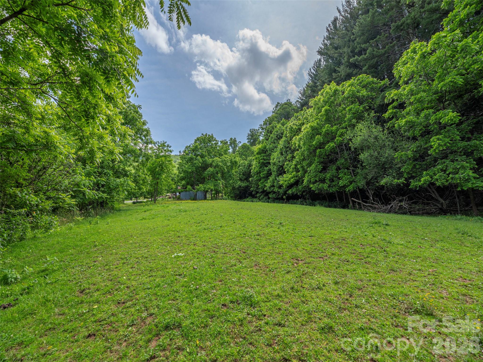 5622 Dutch Cove Road Canton, NC 28716 - Photo 12 of 26