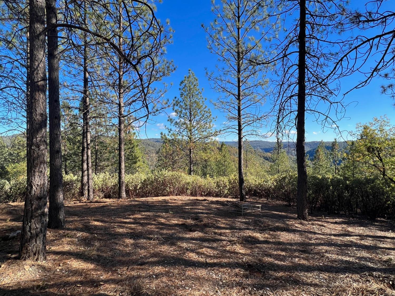 15375 Cliff Road Nevada City, CA 95959 - Photo 1 of 9