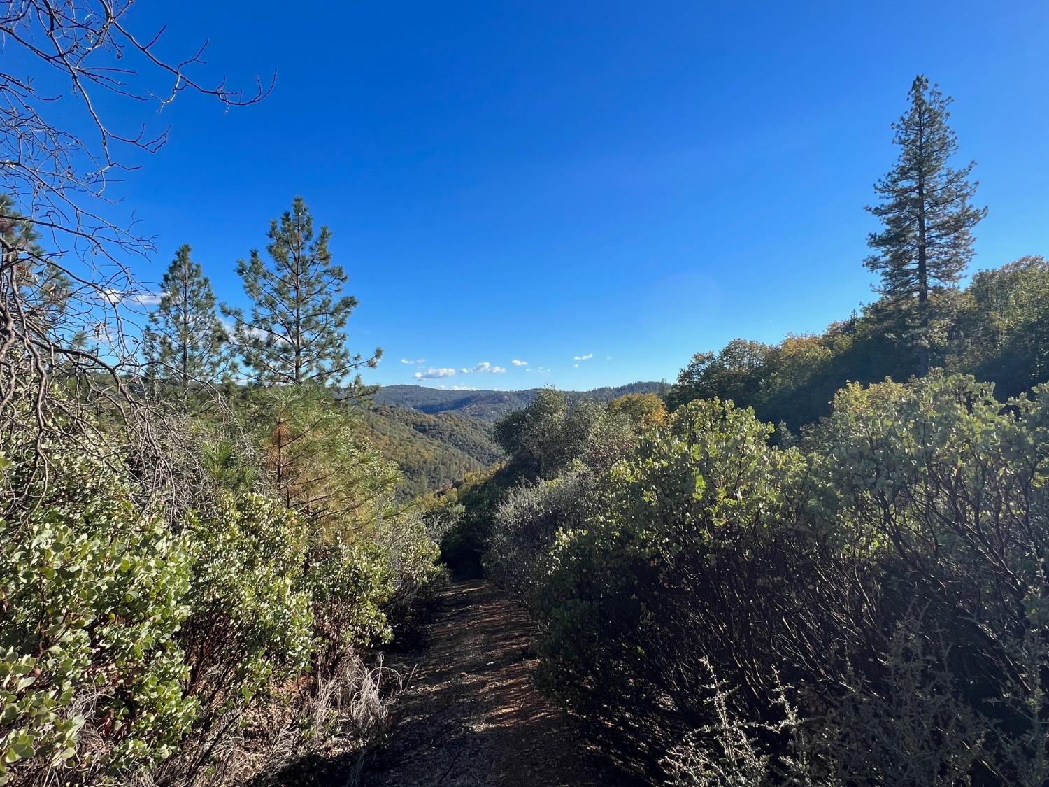 15375 Cliff Road Nevada City, CA 95959 - Photo 2 of 9