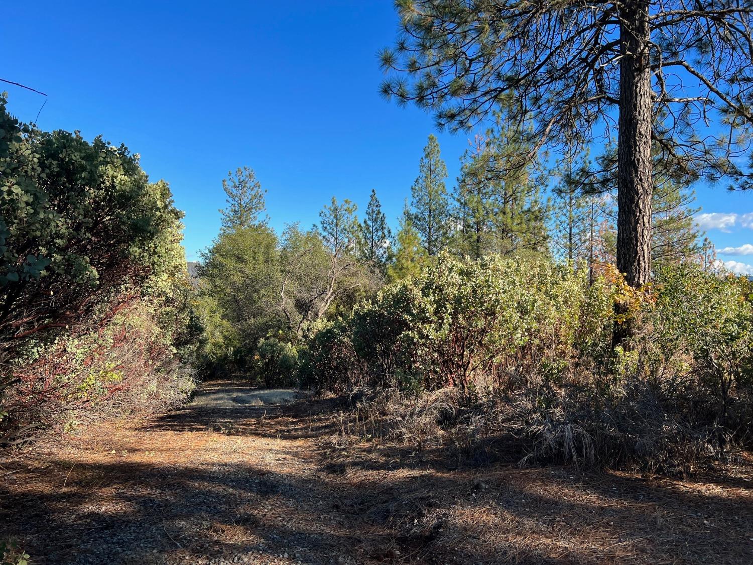 15375 Cliff Road Nevada City, CA 95959 - Photo 5 of 9