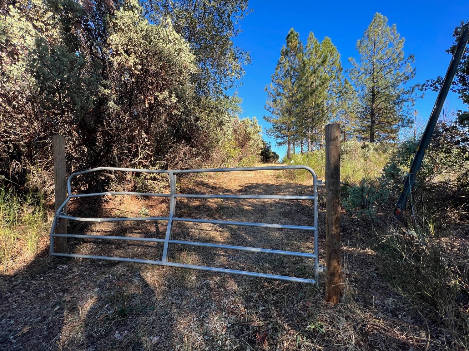 15375 Cliff Road Nevada City, CA 95959 - Photo 9 of 9