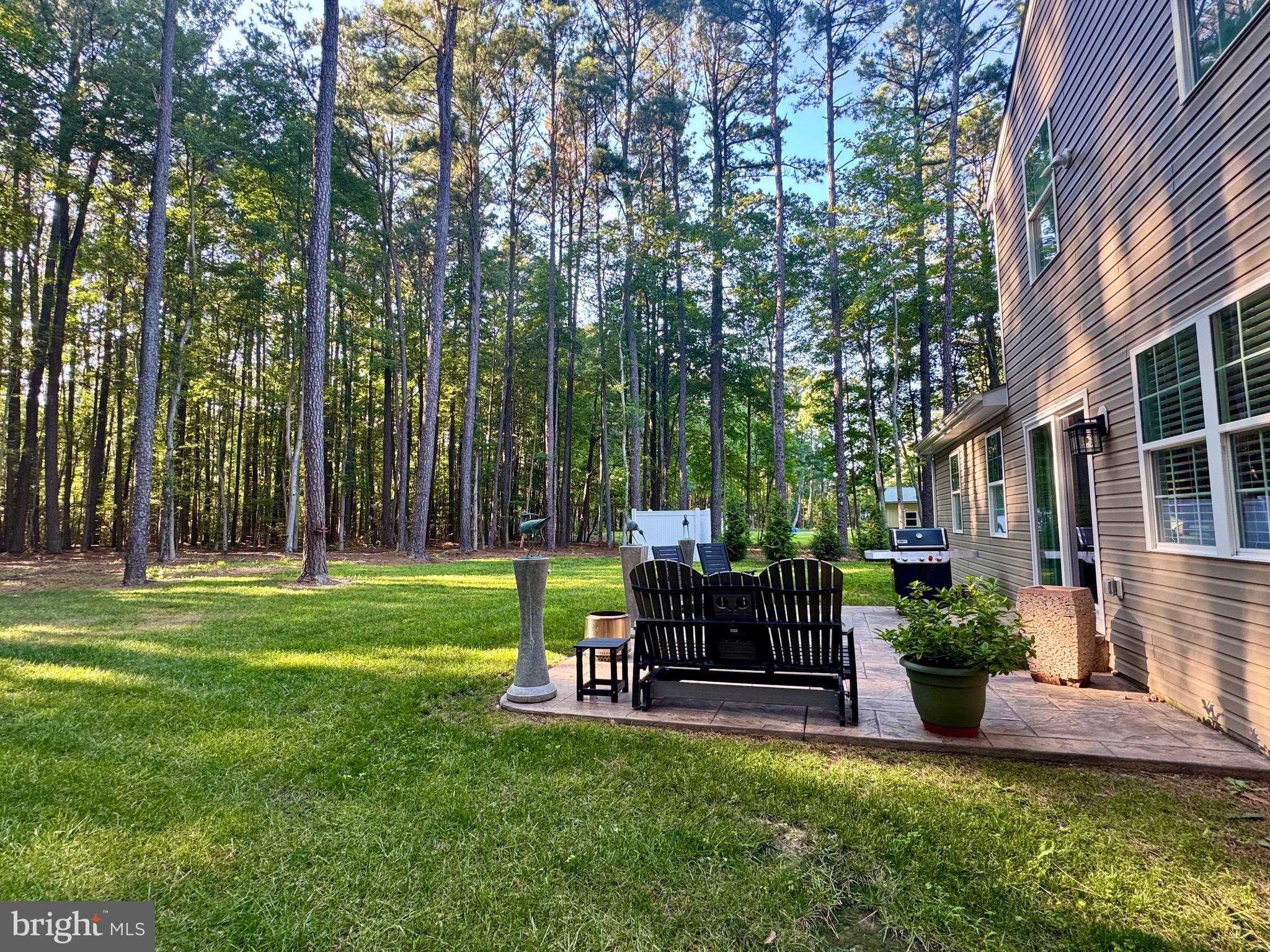 136 Olive Branch Road Stevensville, MD 21666 - Photo 8 of 41 Private flat backyard setting