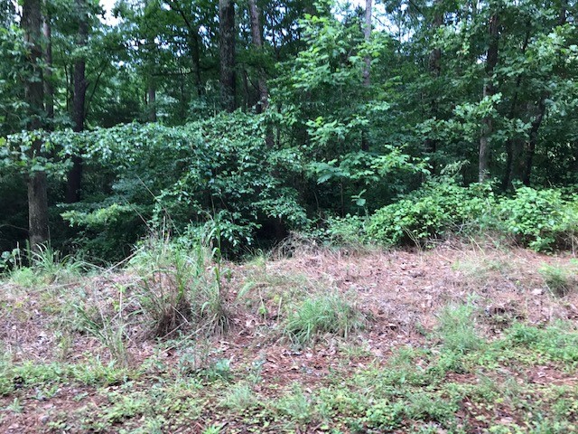 211 Stratford Road Pendleton, SC 29670 - Photo 2 of 2