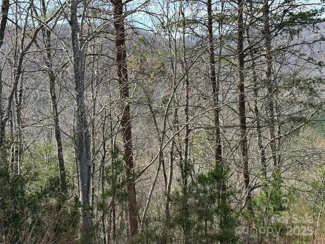 $50,000 | 0 Pinegrove Drive, Bostic, NC 28018