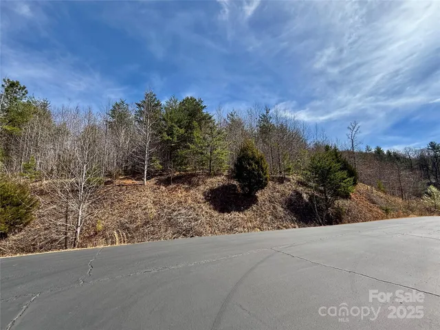 $50,000 | 0 Pinegrove Drive, Bostic, NC 28018