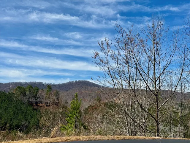 $50,000 | 0 Pinegrove Drive, Bostic, NC 28018