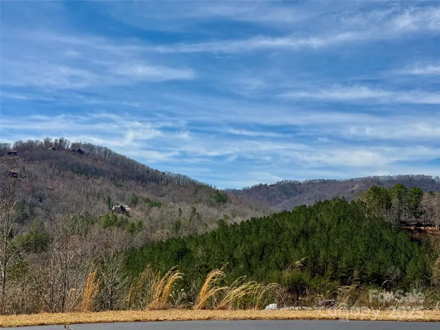 $50,000 | 0 Pinegrove Drive, Bostic, NC 28018