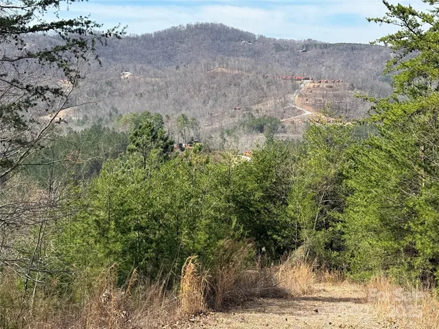 $50,000 | 0 Pinegrove Drive, Bostic, NC 28018