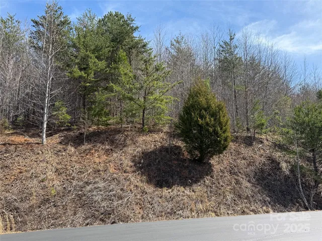 $50,000 | 0 Pinegrove Drive, Bostic, NC 28018