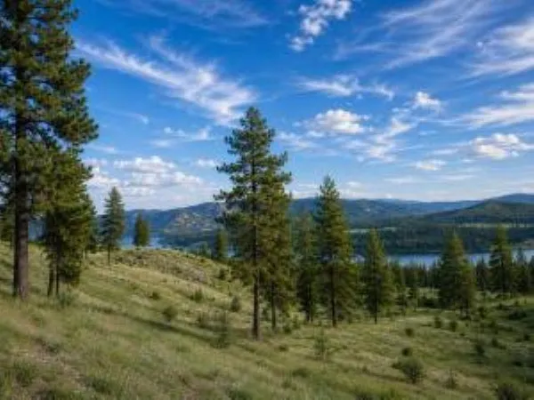 $180,000 | 7 Ballard Avenue, Kettle Falls, WA 99141