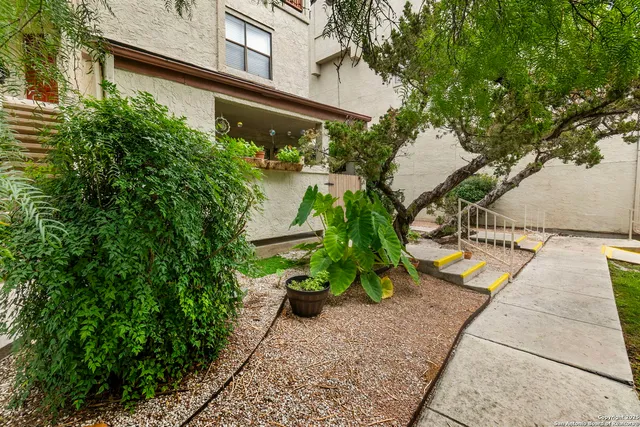 a view of backyard with a patio