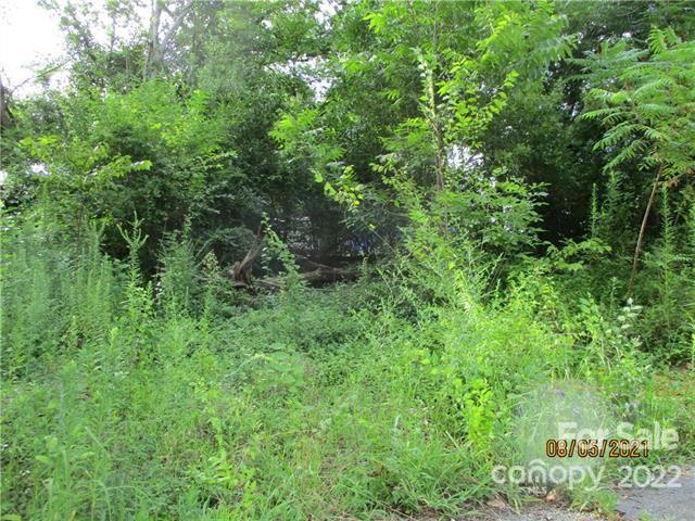 512 5th Street Lancaster, SC 29720 - Photo 2 of 8 a view of a lush green forest