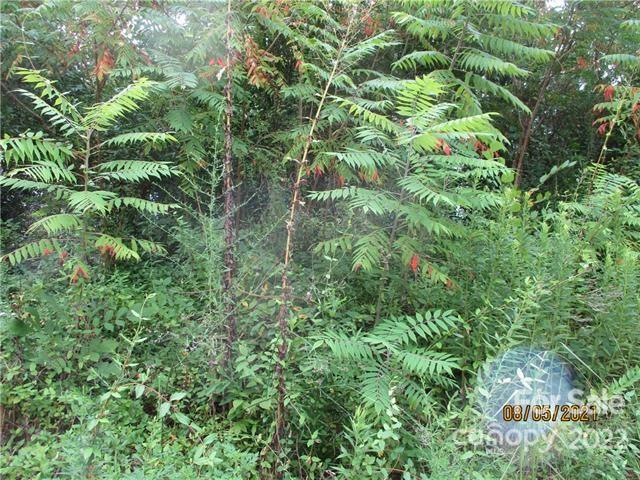 512 5th Street Lancaster, SC 29720 - Photo 3 of 8 a view of a lush green forest