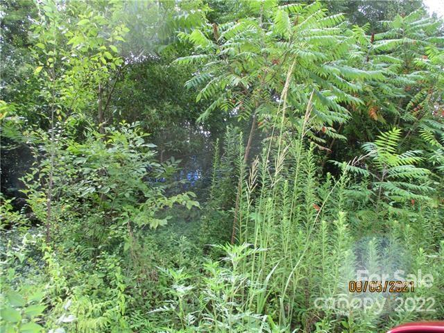 512 5th Street Lancaster, SC 29720 - Photo 6 of 8 a view of a lush green forest