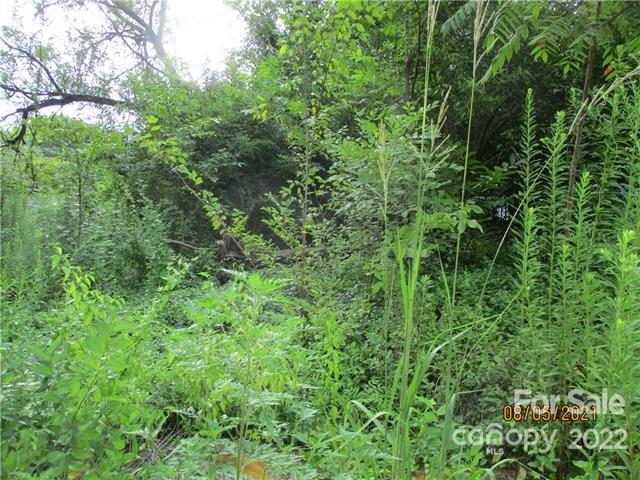 512 5th Street Lancaster, SC 29720 - Photo 7 of 8 a view of a lush green forest