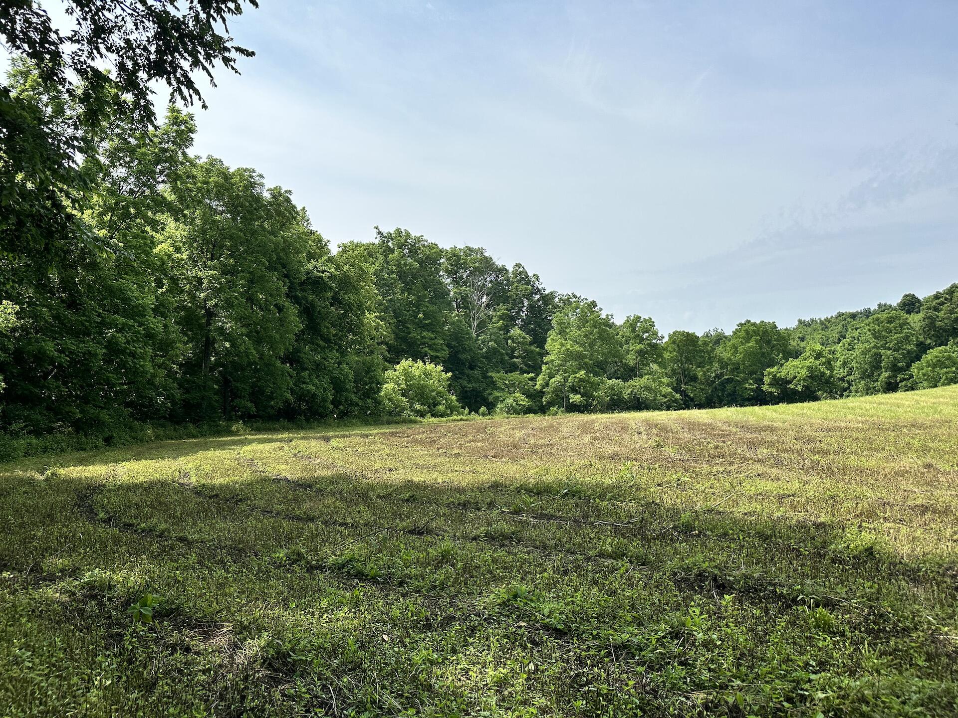 6 Vallandingham Road Dry Ridge, KY 41035 - Photo 5 of 11