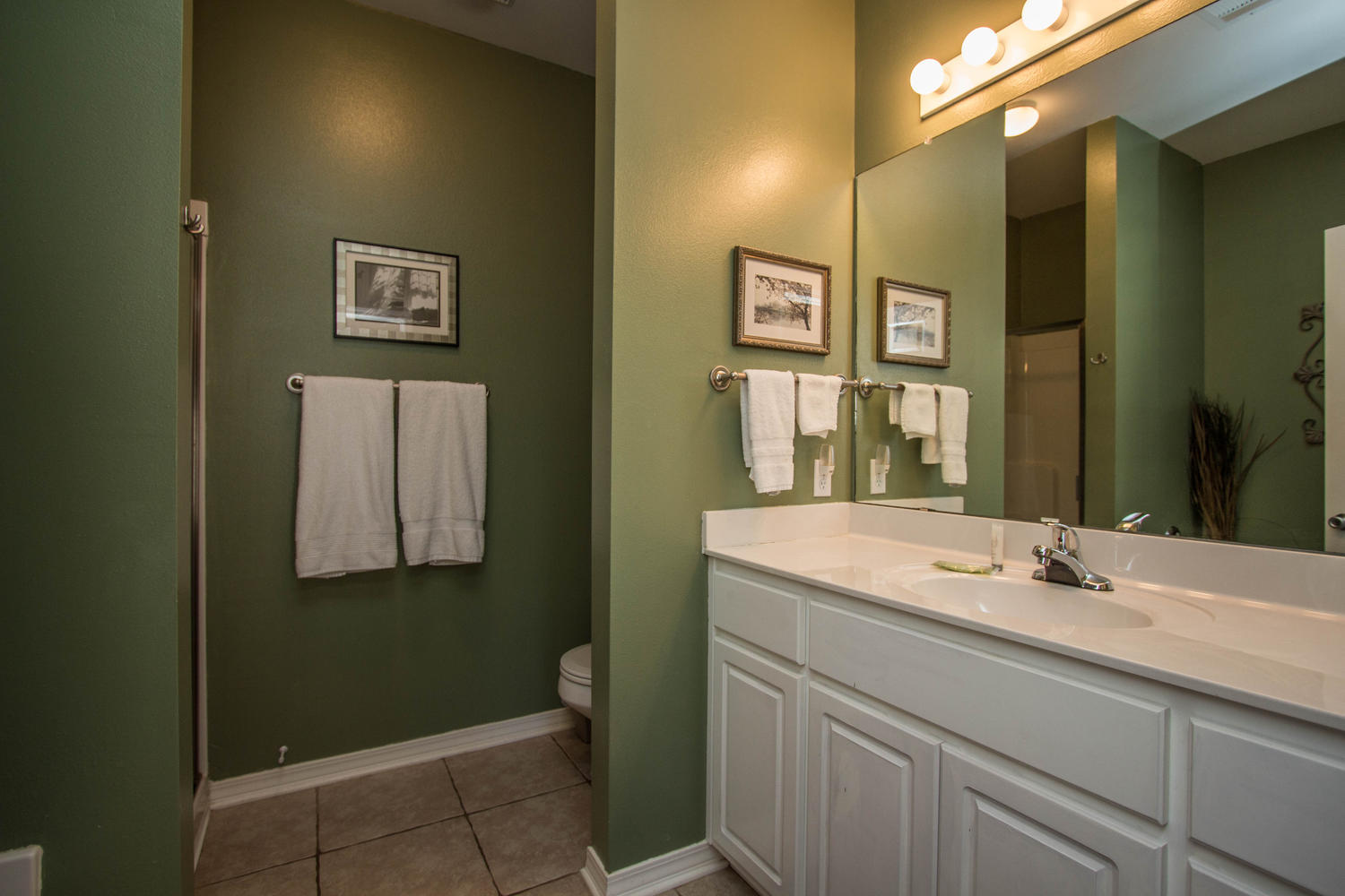 434 Hidden Lake Way Santa Rosa Beach, FL 32459 - Photo 24 of 39 Gallery Image 24
