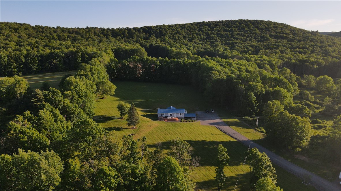 591 Cape Horn Road Gilboa, NY 12167 - Photo 29 of 31