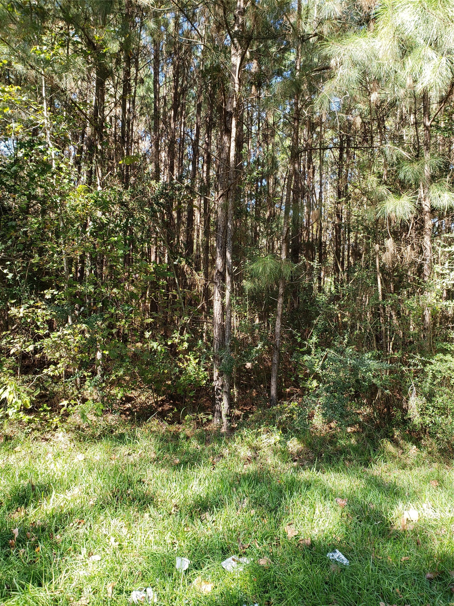 0 County Road 2097 Liberty, TX 77575 - Photo 4 of 6