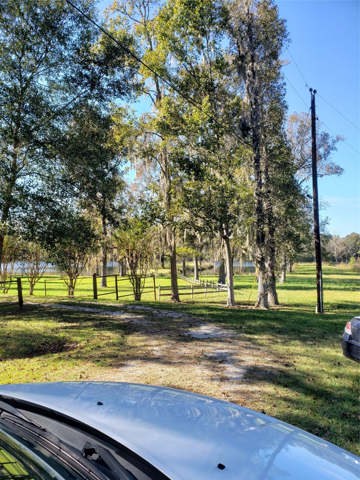 0 County Road 2097 Liberty, TX 77575 - Photo 6 of 6 a view of a park with large trees
