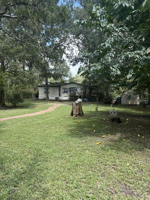 320 Oak Tree Drive Point Blank, TX 77364 - Photo 11 of 22 a view of a park with large trees