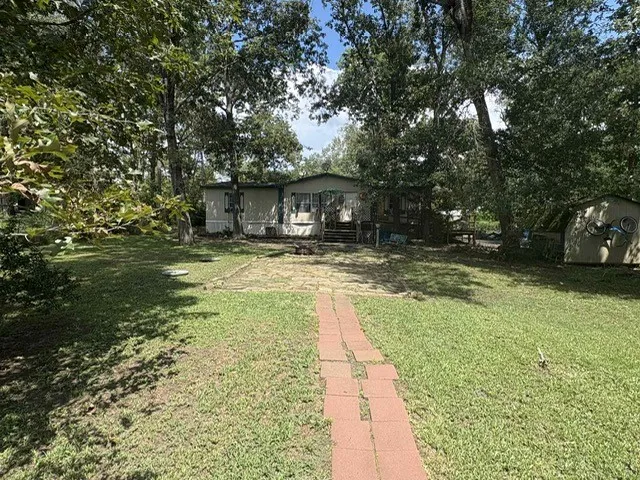 a view of a yard with plants and trees