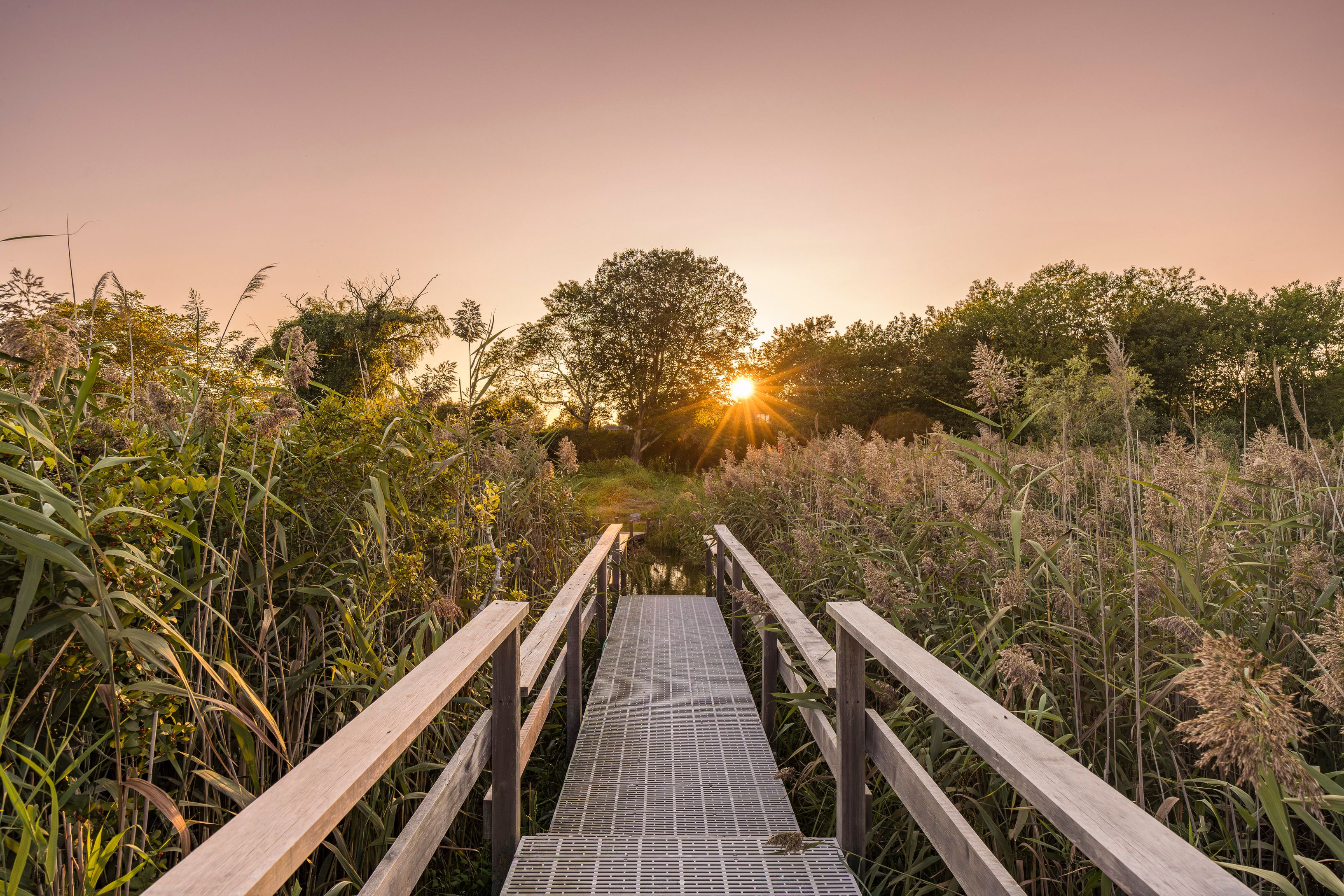 1076 Ocean Road Bridgehampton, NY 11932 - Photo 5 of 38 a view of trees and wooden bridge