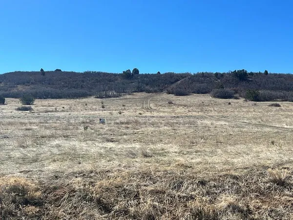 $3,500 | Tbd Davlin Street, Rye, CO 81069