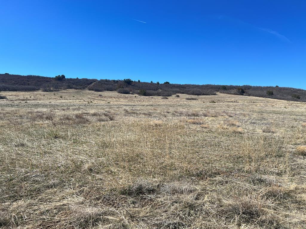 Tbd Davlin Street Rye, CO 81069 - Photo 2 of 6