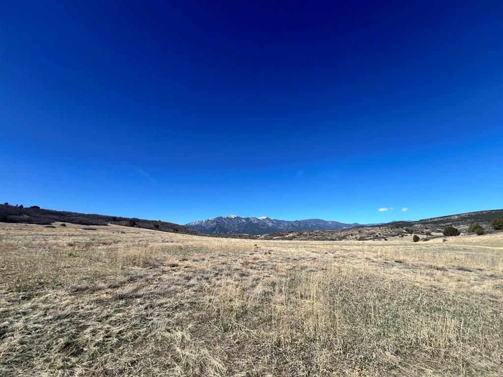 Tbd Davlin Street Rye, CO 81069 - Photo 5 of 6