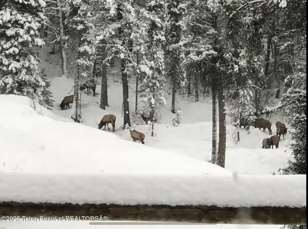 $799,000 | Lot 2 Stewart Trail, Etna, WY 83118