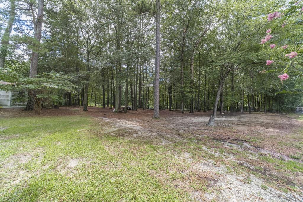 2737 Camp Mitchell Road Loganville, GA 30052 - Photo 37 of 45