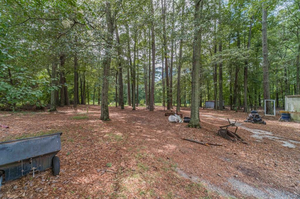 2737 Camp Mitchell Road Loganville, GA 30052 - Photo 38 of 45